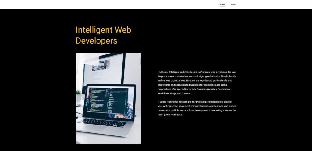 Portfolio of Intelligent Web Developers